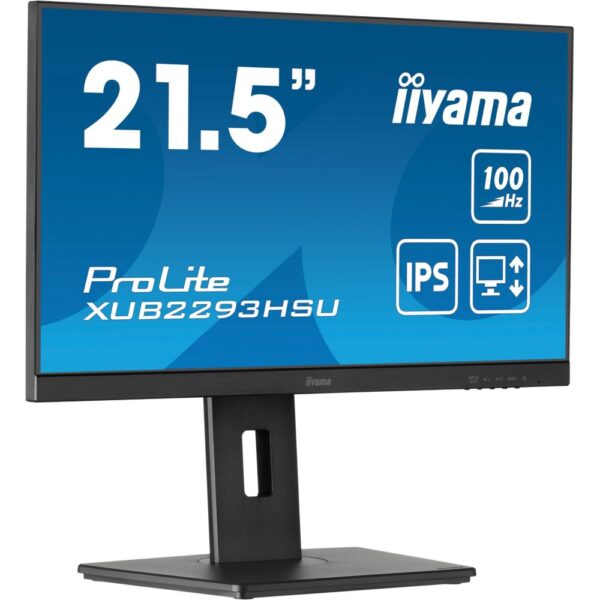 iiyama ProLite 21.5" Full HD Monitor