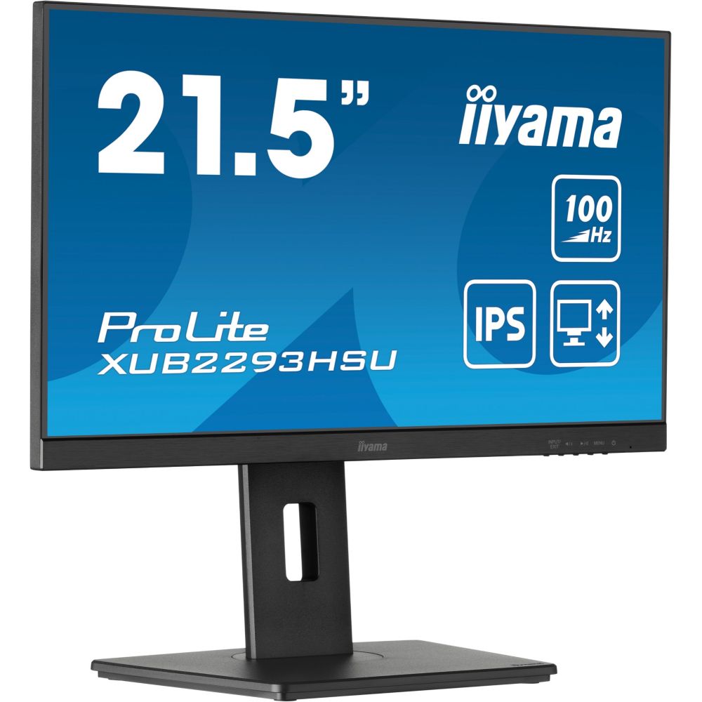 iiyama ProLite 21.5" Full HD Monitor