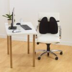 Kensington SmartFit Back Rest