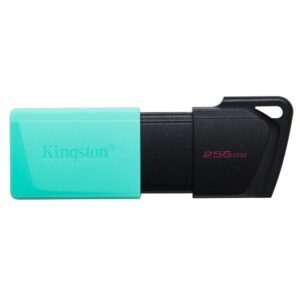 Kingston 256GB USB3.2 DataTraveler Exodia M