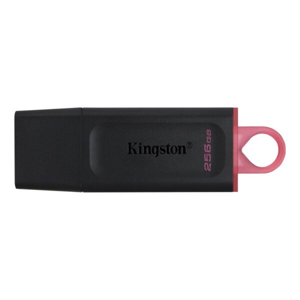 Kingston DataTraveler 256GB USB 3.2 Flash Drive