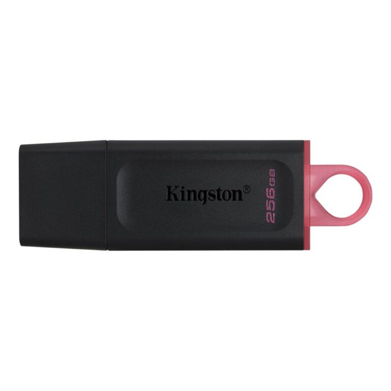 Kingston DataTraveler 256GB USB 3.2 Flash Drive