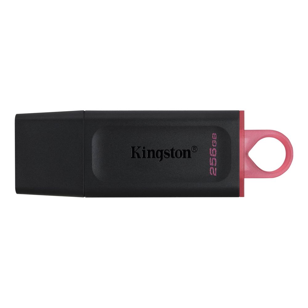 Kingston DataTraveler 256GB USB 3.2 Flash Drive