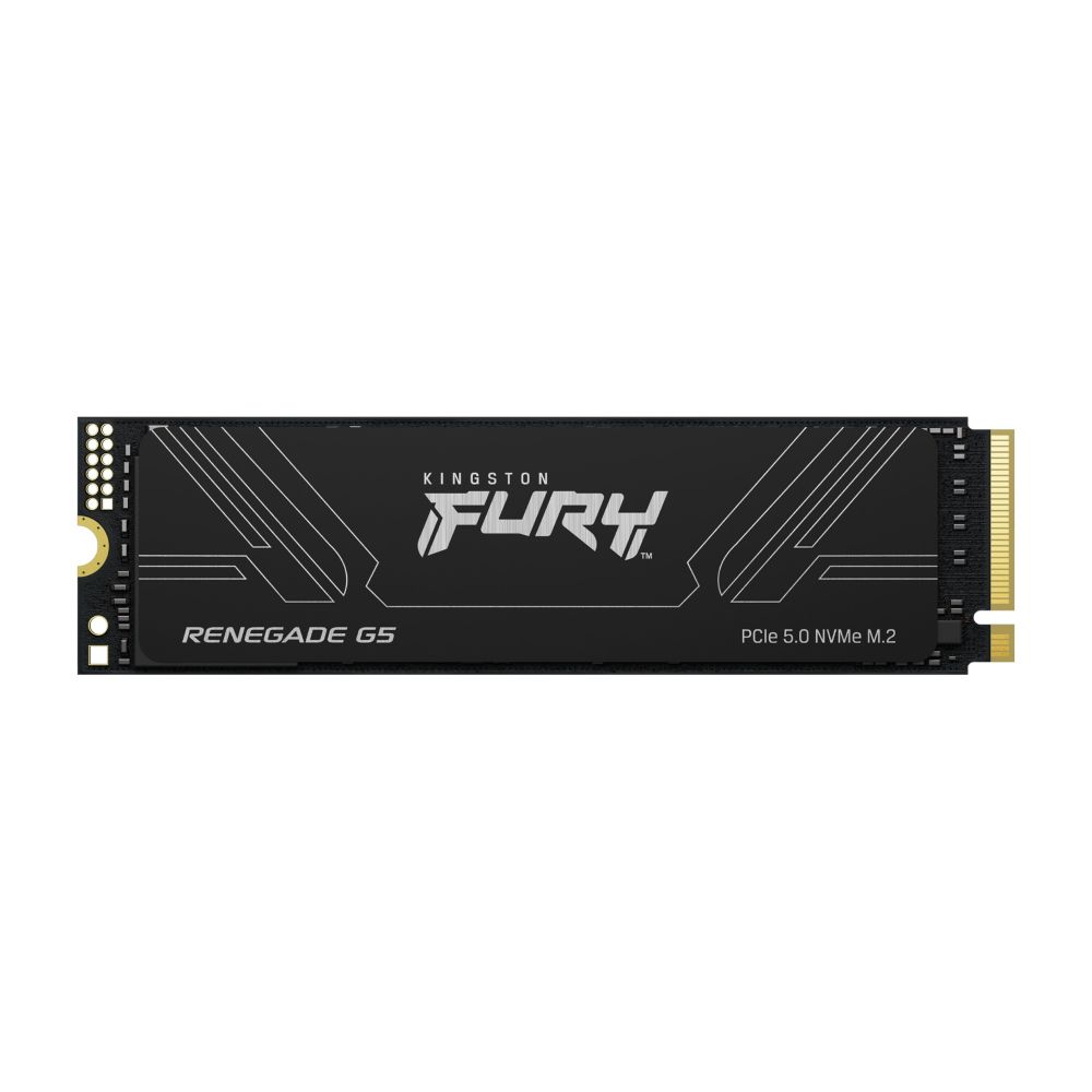 Kingston FURY RENEGADE 4TB NVMe SSD
