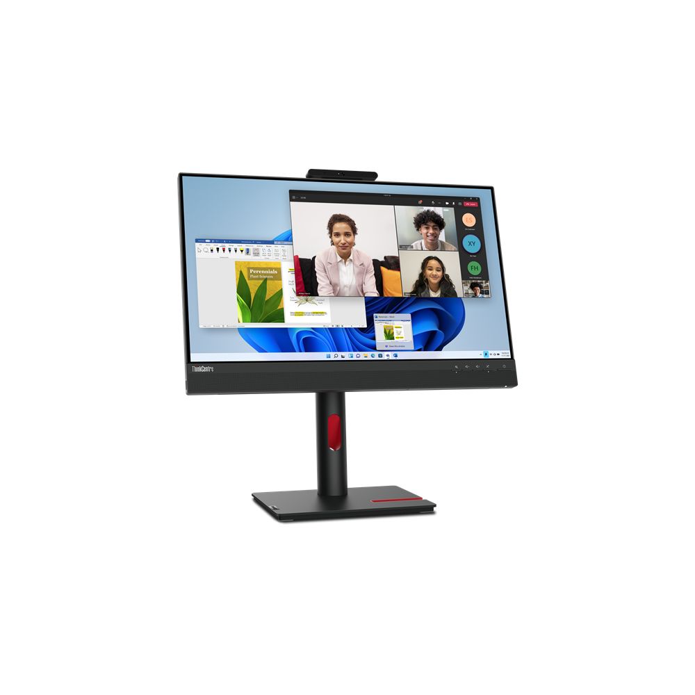 Lenovo ThinkCentre 24" Full HD Monitor