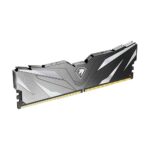 Netac Shadow II 32 GB DDR4 Module
