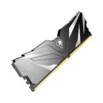 Netac Shadow II 32 GB DDR4 Module