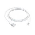 Apple Lightning to USB Cable 1m