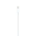 Apple Lightning to USB Cable 1m