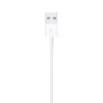 Apple Lightning to USB Cable 1m