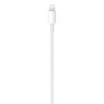 Apple USB-C to Lightning Cable 1m