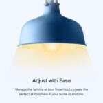 TP-Link Tapo Smart Wi-Fi Dimmable Bulb