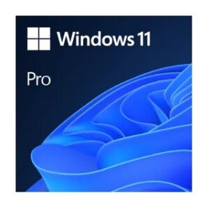 Microsoft Windows 11 Pro - 1 License