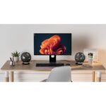 Creative Pebble Nova Black Desktop Speakers