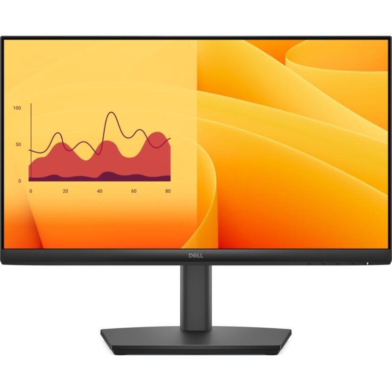 DELL E2225HSM 21.5" Full HD Monitor 1920x1080 LCD