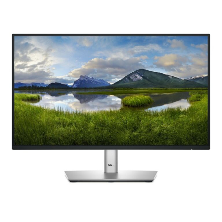 DELL P2225H 21.5" Full HD Monitor 1920x1080 Black Silver