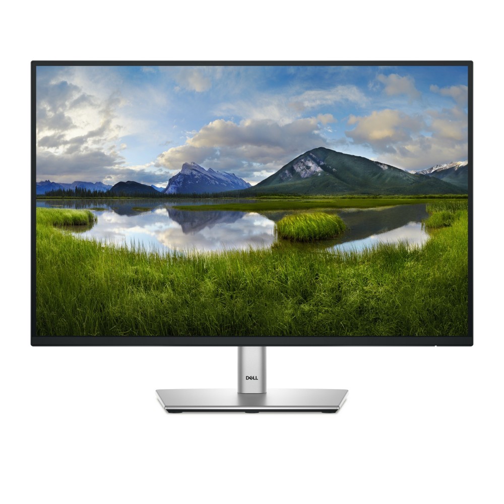 DELL P2425 24.1" WUXGA Monitor