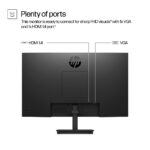 HP 24pv 23.8" FHD Monitor