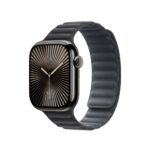 Apple 42mm Black Magnetic Link S/M
