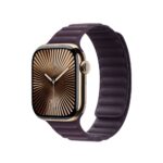 Apple 42mm Blackberry Magnetic Link M/L