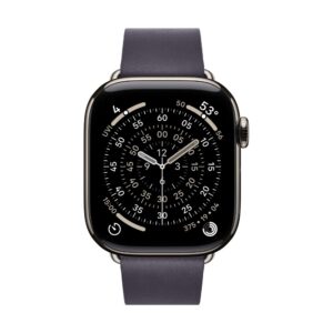 Apple 42mm Midnight Purple Modern Buckle (Medium)