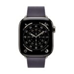 Apple 42mm Midnight Purple Modern Buckle (Small)