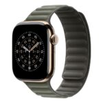 Apple 42mm Sage Grey Magnetic Link M/L
