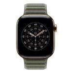 Apple 42mm Sage Grey Magnetic Link M/L
