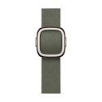 Apple 42mm Sage Grey Modern Buckle (Large)