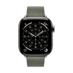 Apple 42mm Sage Grey Modern Buckle (Large)