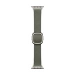 Apple 42mm Sage Grey Modern Buckle (Large)