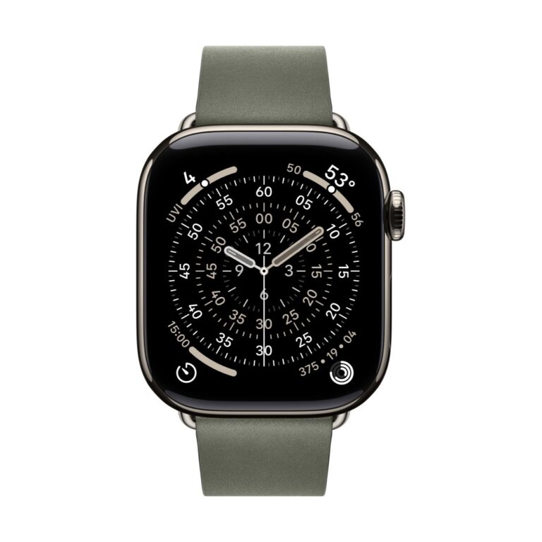Apple 42mm Sage Grey Modern Buckle (Large)