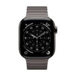 Apple 42mm Slate Link Bracelet