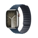 Apple 45mm Pacific Blue Magnetic Link M/L