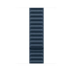 Apple 45mm Pacific Blue Magnetic Link M/L