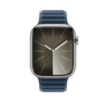 Apple 45mm Pacific Blue Magnetic Link M/L