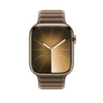Apple 45mm Taupe Magnetic Link S/M