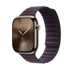 Apple 46mm Blackberry Magnetic Link M/L