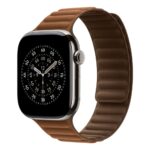 Apple 46mm Caramel Magnetic Link S/M