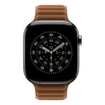 Apple 46mm Caramel Magnetic Link S/M