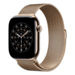 Apple 46mm Gold Milanese Loop S/M