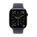 Apple 46mm Navy Magnetic Link M/L