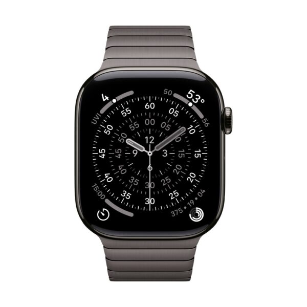 Apple 46mm Slate Link Bracelet