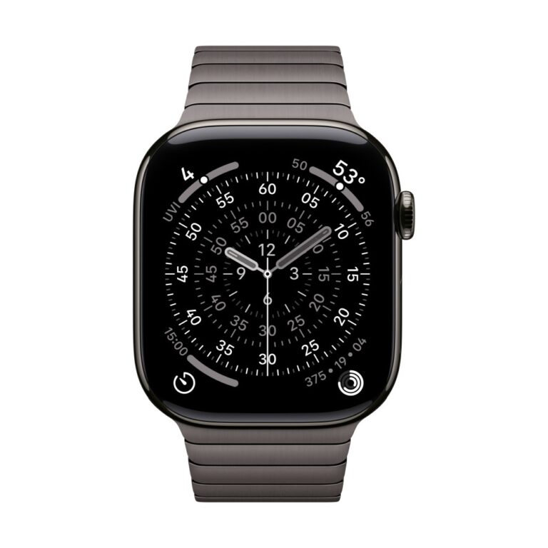 Apple 46mm Slate Link Bracelet