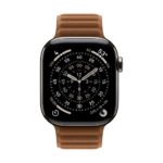 Apple MGD94ZM/A Smart Watch Band, Caramel Polyester