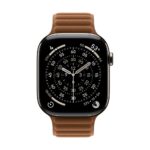 Apple MGDG4ZM/A Smart Watch Band - Caramel Polyester