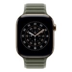 Apple MGDL4ZM/A Smart Watch Band, Grey Sage Polyester