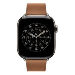 Apple MGG54ZM/A Smart Watch Band, Caramel Polyester