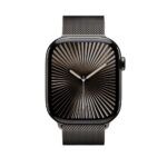 Apple Milanese Loop (46mm, Slate) - M/L