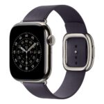 Apple Modern Buckle 42mm Midnight Purple - Large